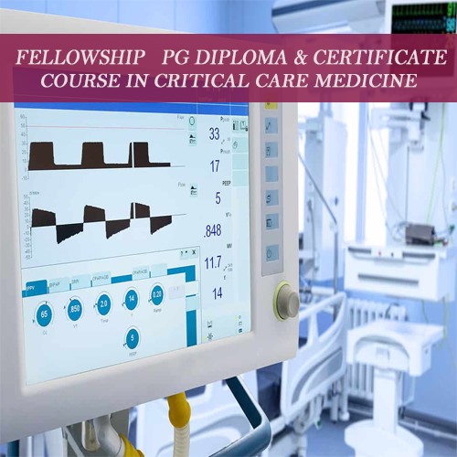 Fellowship In Critical Care Medicine